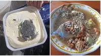 Potret Penemuan Nyeleneh di Makanan Ini Bikin Heran. (Sumber: Twitter/@Askrlfess dan Twitter/@gundamasyik)