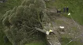 Petugas polisi melihat pohon di Sycamore Gap, di sebelah Hadrian's Wall yang tumbang dalam semalam, di Northumberland, Inggris, Kamis 28 September 2023. (Owen Humphreys/PA via AP)