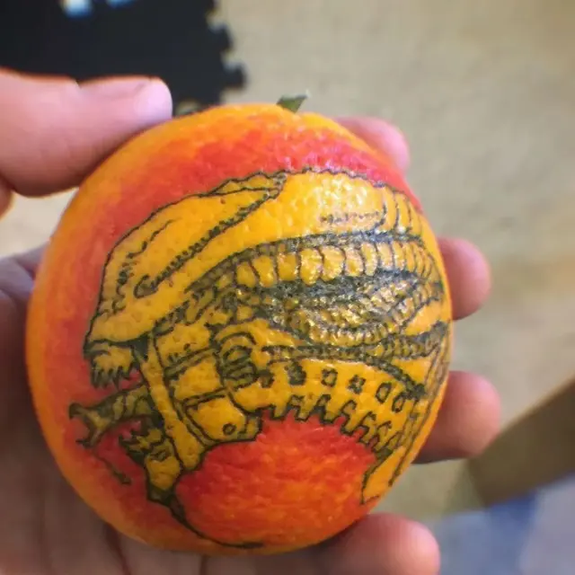 7 Potret Tato di Buah Jeruk Ini Menakjubkan, Punya Manfaat Tak Terduga