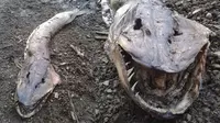 Monster Bergigi Tajam Ditemukan di Danau Inggris