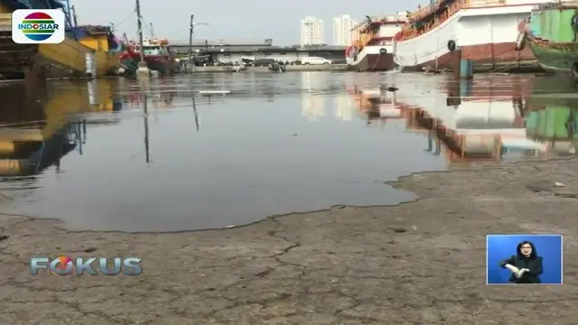 Banjir Rob di Muara Baru Rendam Permukiman Warga Penjaringan