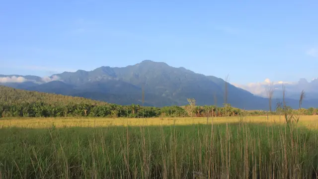 Pegunungan Cycloop di Papua
