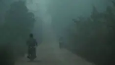 (Liputan 6 TV)