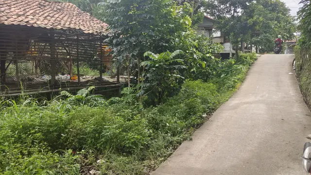 Sadis! Wanita Korban Kecelakaan di Depok Dibuang di Kandang Ayam
