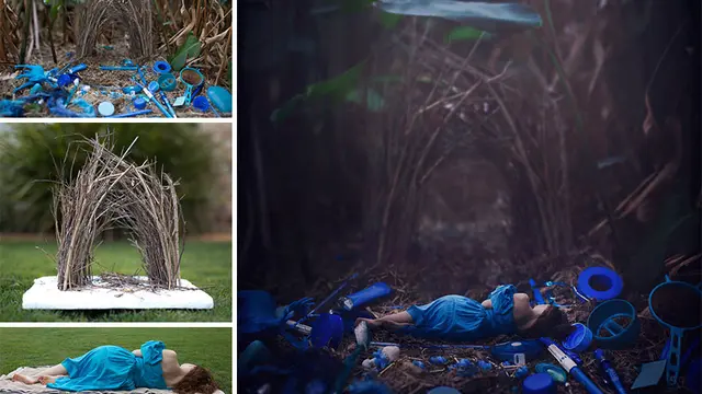 6 Ekspektasi Vs Realita Foto Estetik Ini Rumit, Gabungkan Fotografi dan Photoshop