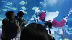 Seorang penyelam berpakaian Sinterklas menyapa pengunjung pada acara untuk mempromosikan liburan Natal di Coex Aquarium, Seoul, Korea Selatan, Jumat (3/12/2021). Natal adalah salah satu hari libur terbesar yang dirayakan di Korea Selatan. (AP Photo/Ahn Young-joon)