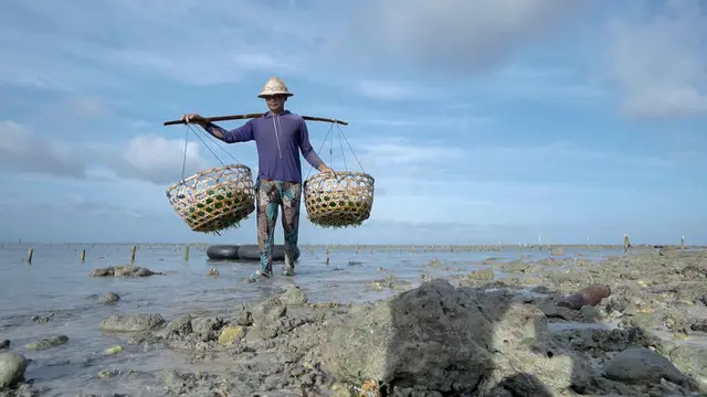 Petani Rumput Laut.