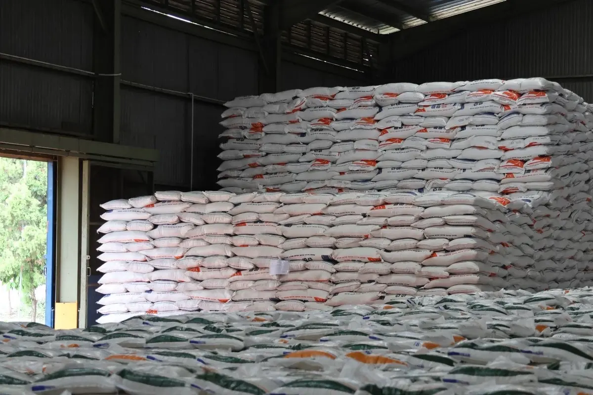 Swasta Kuasai 92% Stok Beras, Pemerintah Andalkan 4 Juta Ton untuk Intervensi