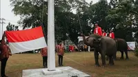 Gajah binaan BBKSDA Riau menjadi pasukan pengibar bendera dalam peringatan Hari Kemerdekaan Indonesia. (Liputan6.com/M Syukur)