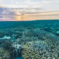 Pulau Wilson, Great Barrier Reef, Australia. (Google)