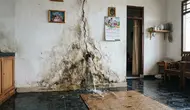 8 Cara Mengecek Pipa Air Rumah yang Mulai Bocor Tanpa Membongkar Dinding