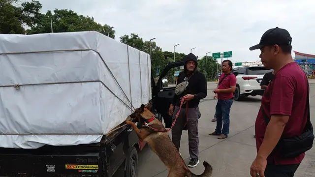 Barang bukti narkoba hasil Operasi Seaport Interdiction di Pelabuhan Bakauheni Lampung. (Merdeka.com/Bachtiarudin Alam)