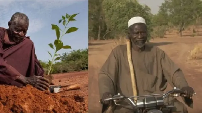 [Bintang] Afrika Hijau