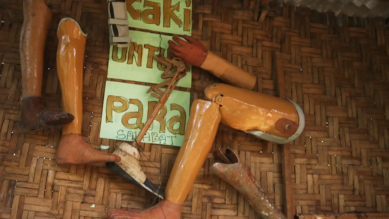 Kaki Palsu