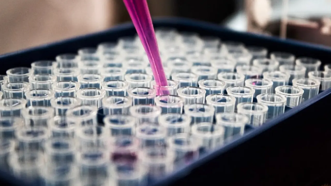 Lab. Foto: Unsplash/ Louis Reed