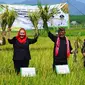 Panen dan Tanam Padi di Kota Semarang Perkuat Ketersediaan Pangan Hadapi Elnino/Istimewa.