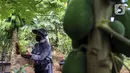 Warga memeriksa hasil pertanian di Susia Garden, Kalibata, Jakarta, Sabtu (12/2/2022). Berawal dari hobi berkebun, Susiawan Tari (68) manfaatkan lahan sengketa tak produktif untuk menanam beragam jenis sayuran dan buah berkonsep agro edukasi dan pusat kegiatan lingkungan. (Liputan6.com/Johan Tallo)