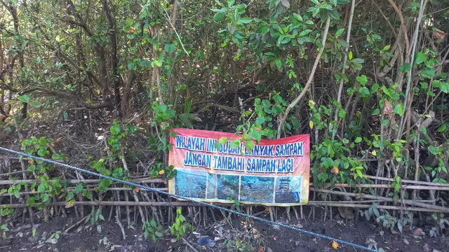 Kawasan Konservasi Mangrove, Baros yang dipenuhi sampah.