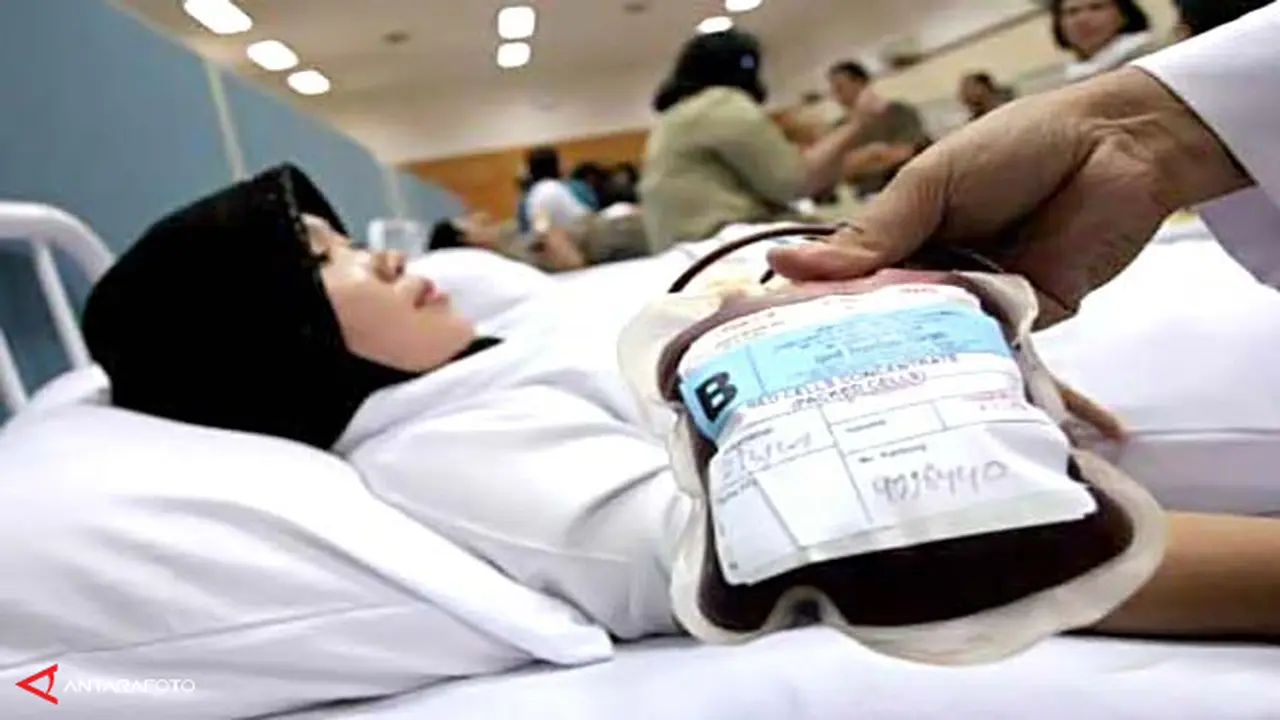 donor-darah130613b.jpg