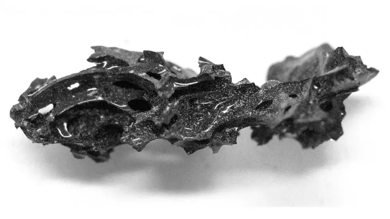 Otak kaca korban letusan gunung berapi Vesuvius. (Profesor Guido Giordano dari Università Roma Tre)
