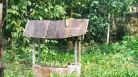 Makam Jari Kelingking Raden Mattaher di Desa Muarajambi, Kecamatan Maro Sebo, Kabupaten Muarojambi. (Liputan6.com/Gresi Plasmanto)