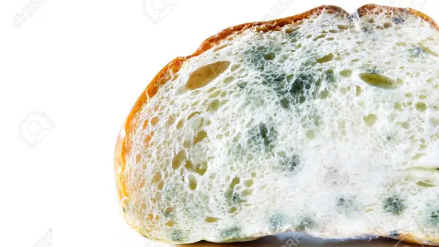 Roti Kedaluwarsa