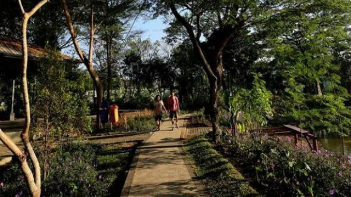 Kebun Bibit Wonorejo, Lahan Pembibitan Menuju Oase Hijau Rekreasi Kota Surabaya