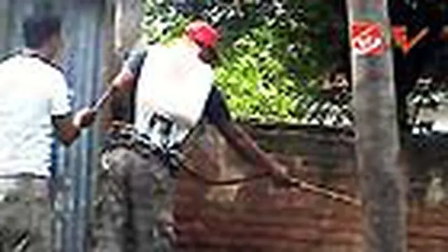 Ribuan Ulat Bulu Mulai Masuki Rumah Warga