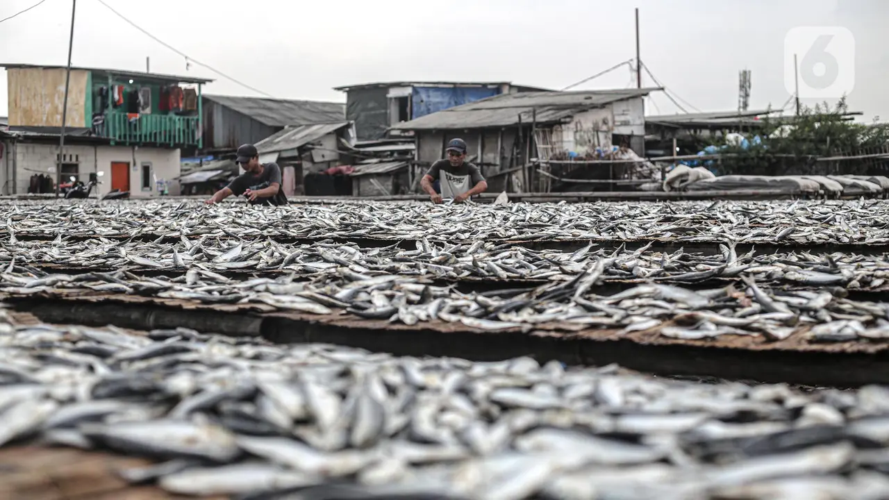 Musim Penghujan, Produksi Ikan Asin Alami Penurunan