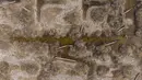 Foto udara memperlihatkan kebun kelapa sawit yang rusak karena garam dan polusi di tepi Sungai Shatt Al-Arab, Basra, Irak, 21 Maret 2022. Saat ini, air asin dari laut telah mengambil alih dan kini mencapai 300 kilometer ke hulu Shatt Al-Arab. (Hussein FALEH/AFP)