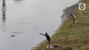 Warga melakukan aktivitas mancing di Kanal Banjir Barat, Jakarta, Selasa (9/6/2020). Fase pertama PSBB transisi di Ibukota dimanfaatkan warga untuk memancing. (Liputan6.com/Johan Tallo)