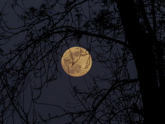 11 Arti Mimpi Seputar Bulan Pertanda Dapat Rezeki Dan Jodoh Ragam Bola Com