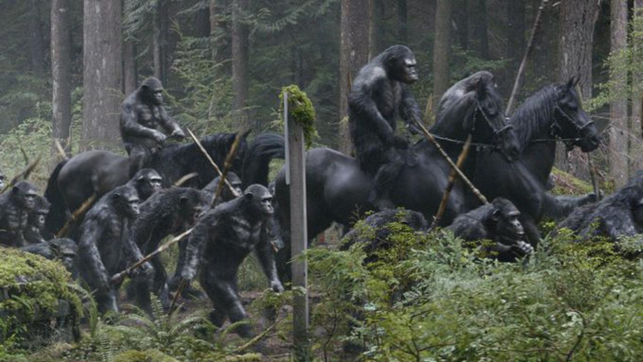 Foto-foto Terbaru Dawn of the Planet of the Apes