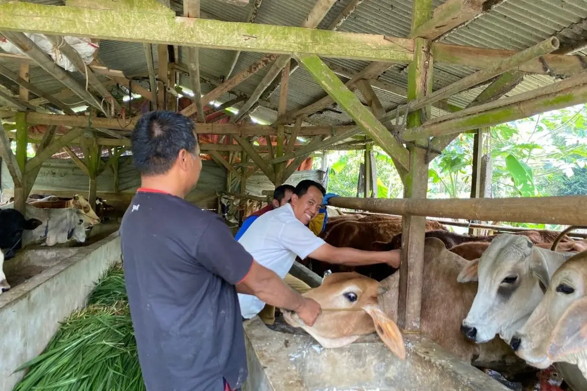 Pemda Kabupaten Sukabumimulai intensif melakukan langkah preventif guna menjamin kesehatan hewan ternak jelang Iduladha.