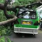 Sebuah angkot tertimpa pohon tumbang di Jalan Dadali, Kelurahan Tanah Sareal, Kecamatan Tanah Sareal, Kota Bogor.