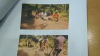 Kematian Tragis Bayi Gajah di Dekat Kawasan Taman Nasional
