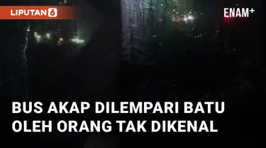 Beredar video viral terkait bus AKAP yang alami pelemparan batu. Aksi ini terjadi di kawasan Jalintim Palembang-Jambi, Kab. Musi Banyuasin
