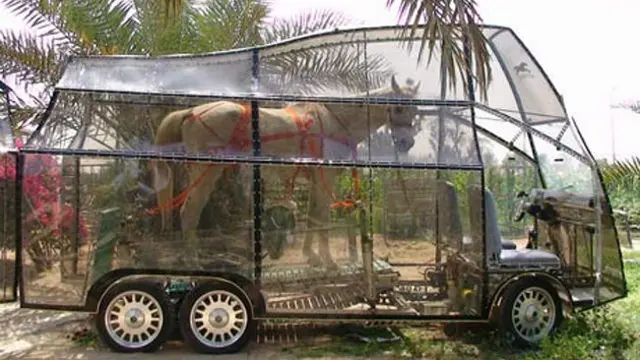 Sumber Bahan Bakar Mobil yang Tak Terduga