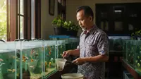 Peluang Usaha Ikan Hias untuk Pensiunan, Aktivitas Produktif Sekaligus Hiburan Hari Tua