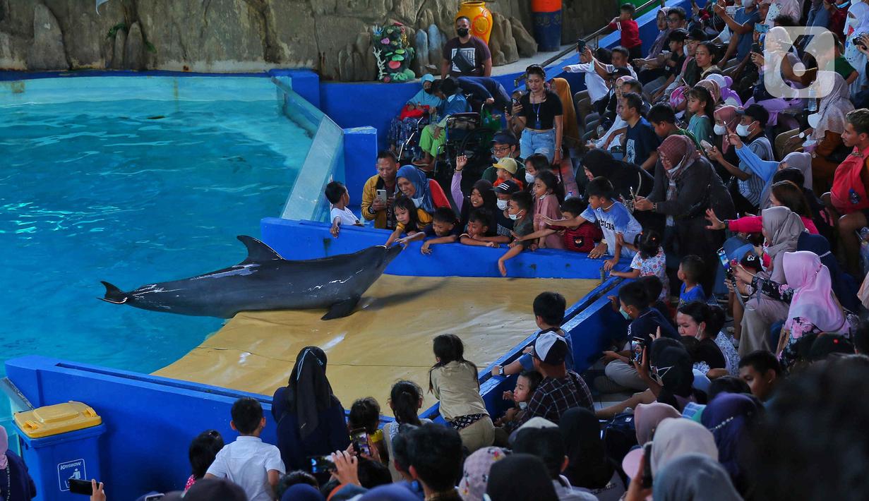 Wisatawan melihat ikan lumba-lumba di tempat wisata kawasan Ancol, Jakarta, Minggu (8/1/2023). Saat ini kinerja sektor pariwisata dan ekonomi kreatif pada 2023 dihadapkan dengan target yang cukup tinggi. Kunjungan wisman diharapkan mencapai angka 7,4 juta dan wisatawan nusantara mencapai 1,2-1,4 miliar pergerakan. (Liputan6.com/Angga Yuniar)