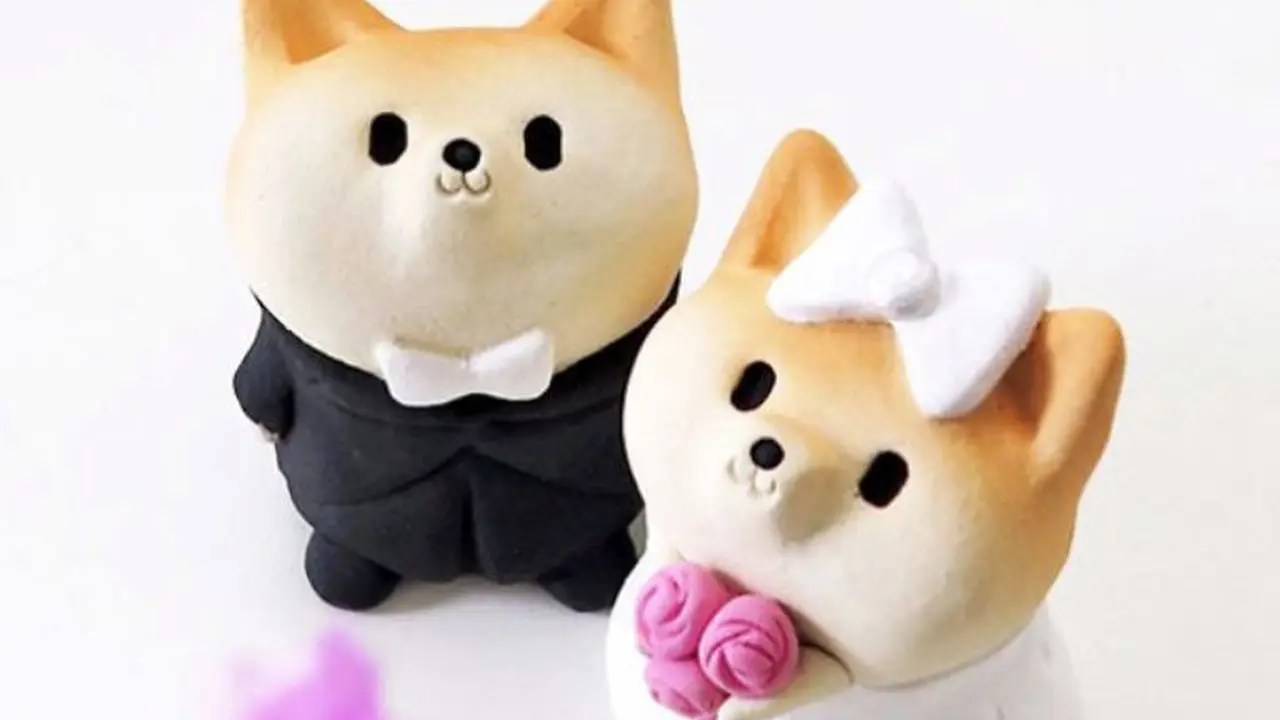 [Bintang] 10 Inspirasi Kado Valentine untuk si Dia yang Suka Shiba Inu