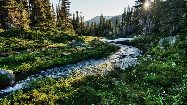 Olympic National Park