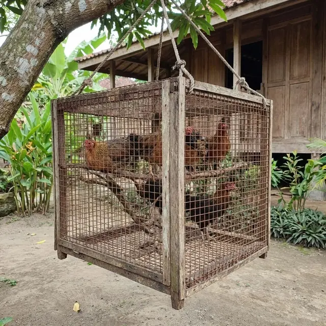 Kandang kawat Kubus Gantung
