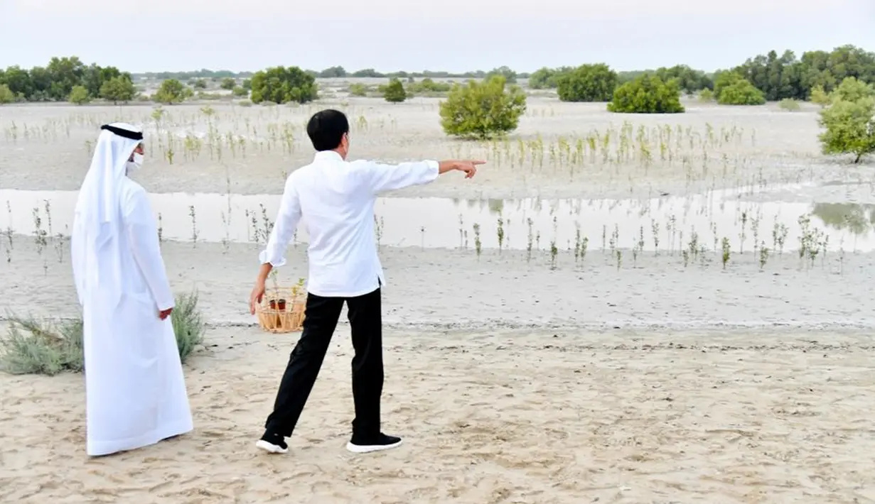 Presiden Joko Widodo atau Jokowi (kanan) didampingi Menteri Energi dan Infrastruktur Persatuan Emirat Arab (PEA) Suhail Al Mazrouei saat meninjau tanaman mangrove di Jubail Mangrove Park, Pulau Al Jubail, Abu Dhabi, PEA, Rabu (3/11/2021). (Foto: Biro Pers Sekretariat Presiden)