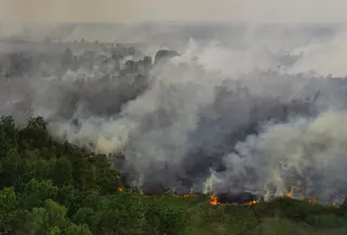 Foto udara menunjukkan kebakaran hutan dan lahan yang menyebar di Ogan Ilir, Sumatra Selatan, pada 14 September 2023. (Al ZULKIFLI/AFP)