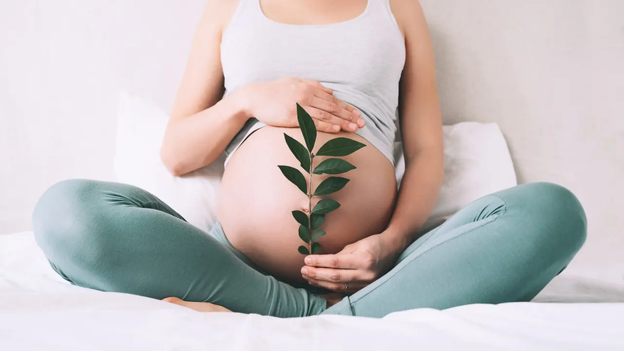 perempuan ibu hamil besar