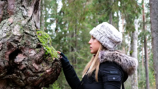 Profesi yang Cocok untuk Tipe Kecerdasan Naturalis