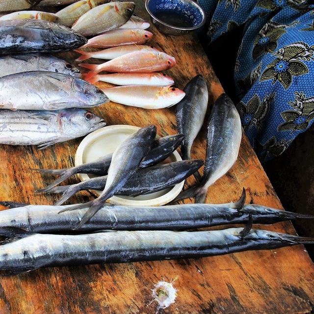 6 Cara Memilih Ikan Segar Yang Baik Untuk Dikonsumsi Antisipasi Barang Busuk Hot Liputan6 Com