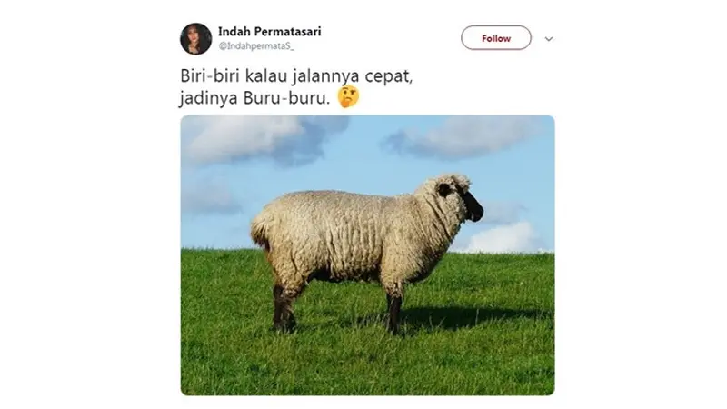 Pelesetan Nama Hewan