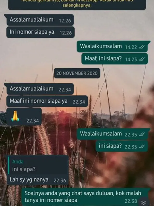 7 Chat WhatsApp dengan Orang Tidak Dikenal Ini Malah Bikin Emosi